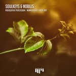 cover: Nobilis|Soulkeys - Provocative Percussion