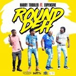 cover: Harry Toddler|Xpensive - Round Deh