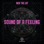 cover: Nick The Lot - Sound Of A Feeling