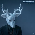 cover: Deleted Soul - Lucid Vision