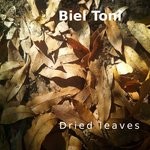 cover: Biel Toni - Dried Leaves