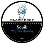 cover: Sopik - Why You Standing