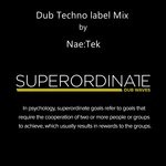 cover: Nae:tek|Various - Dub Techno Label Mix