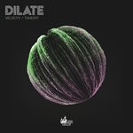 cover: Dilate - Velocity