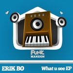 cover: Erik Bo - What U See