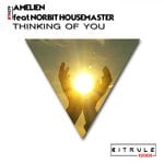 cover: Amelien|Norbit Housemaster - Thinking Of You