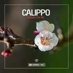 cover: Calippo - Down On Me