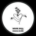 cover: Never Dull - Catching Feelings