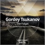 cover: Gordey Tsukanov - The Fidget