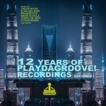 cover: Various - 12 Years Of Playdagroove! Recordings Vol 2