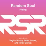 cover: Random Soul - Flying