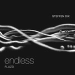 cover: Steffen Dix - Endless/Fluzd