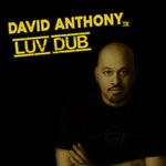 cover: David Anthony - Luv Dub