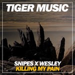 cover: Snipes X Wesley - Killing My Pain