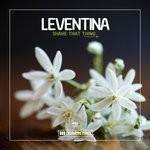 cover: Leventina - Shake That Thing