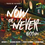 cover: Anthony B|Perfect Giddimani|Pressure Busspipe|Shemana Dixon - Now Or Never Riddim