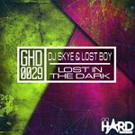 cover: Dj Skye & Lostboy - Lost In The Dark