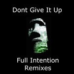 cover: Dj Hal - Dont Give It Up