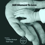 cover: Facto - Still Moment To Love