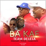 cover: Team Delela - Ba Kae