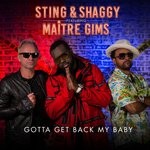 cover: Ma?tre Gims|Shaggy|Sting - Gotta Get Back My Baby