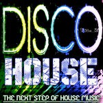 cover: Various - Disco House Vol 2 (The Next Step Of House Music)