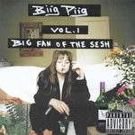 cover: Biig Piig - Big Fan Of The Sesh Vol 1