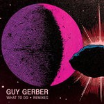 cover: Guy Gerber - What To Do (Remixes)