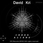 cover: David Kri - Inner Aliens