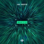 cover: Jay Reeve - What It Is