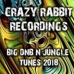 cover: Various - Crazy Rabbit Recordings Big Dnb And Jungle Tunes 2018