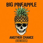 cover: Big Pineapple - Another Chance (Remixes)