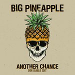 cover: Big Pineapple - Another Chance