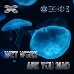 cover: Echo B - Wet Work / Are You Mad