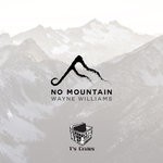 cover: Wayne Williams - No Mountain