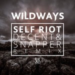 cover: Decent & Snapper - Self Riot (Decent & Snapper Remix)