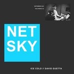 cover: David Guetta|Netsky - Ice Cold