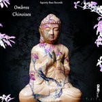 cover: Dub Size - Ombres Chinoisis