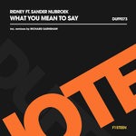 cover: Sander Nijbroek|Ridney - What You Mean To Say