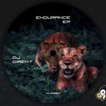 cover: Dj Direkt - Endurance EP