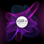 cover: Gosize - Pump It