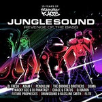 cover: Various - Junglesound: Revenge Of The Bass