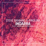 cover: Pindura|Steve Banning - Indarra