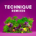 cover: Jeida Woods|Paces Feat Emmalyn - Technique (Remixes)