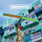 cover: Rudimental|Tom Walker - Walk Alone