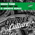 cover: Serge Funk - What They Do