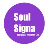 cover: Soul Signa - Fruit Of My Loin