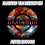 cover: Hardwig Van Beethoven - Never Enough