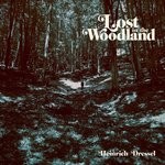 cover: Heinrich Dressel - Lost In The Woodland