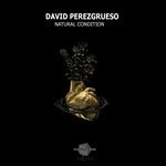 cover: David Perezgrueso - Natural Condition